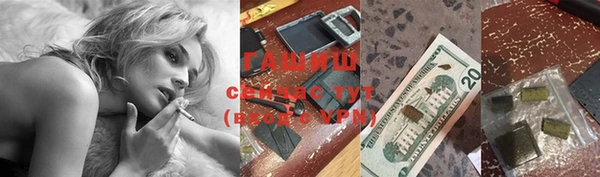 тгк Ельня