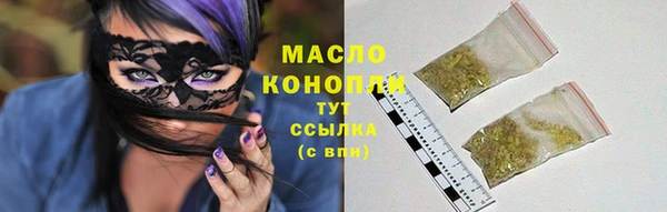 тгк Ельня