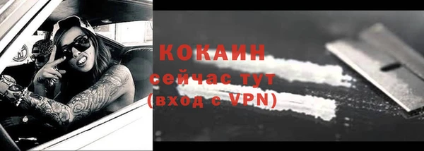 тгк Ельня