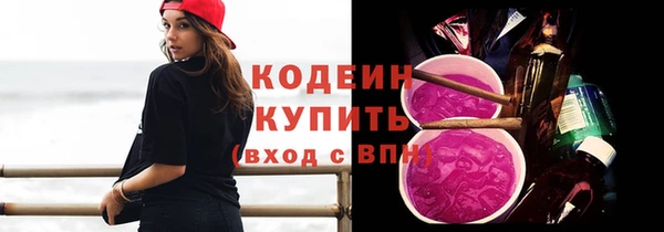 тгк Ельня