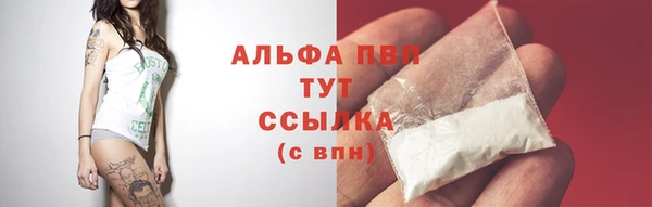 стаф Елизово