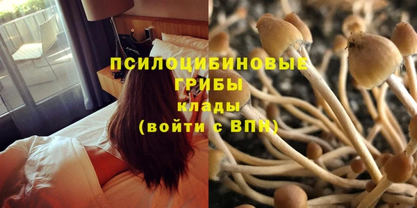 стаф Елизово