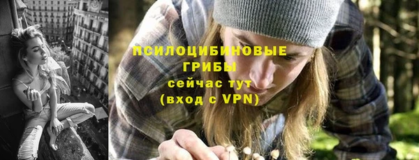 тгк Ельня