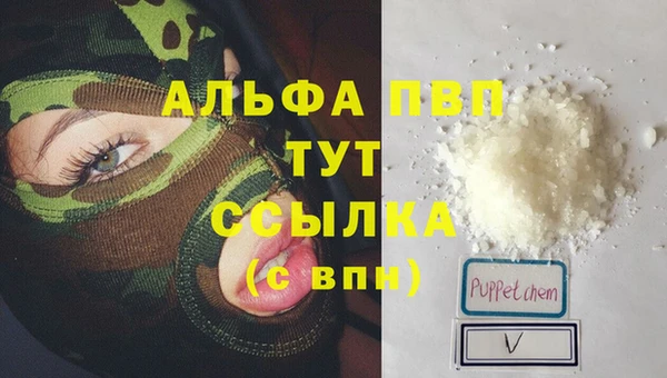 стаф Елизово