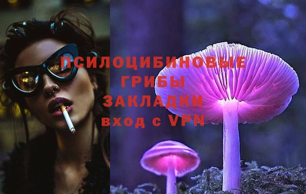 стаф Елизово