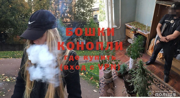 тгк Ельня