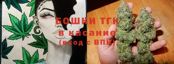 стаф Елизово