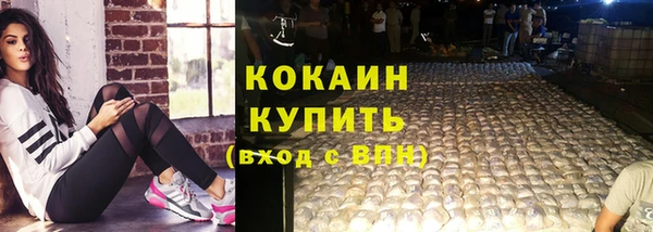 тгк Ельня