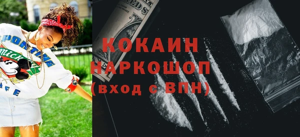 тгк Ельня