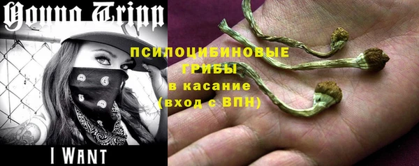 тгк Елабуга