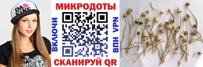 Галлюциногенные грибы мухоморы Купить Солигалич